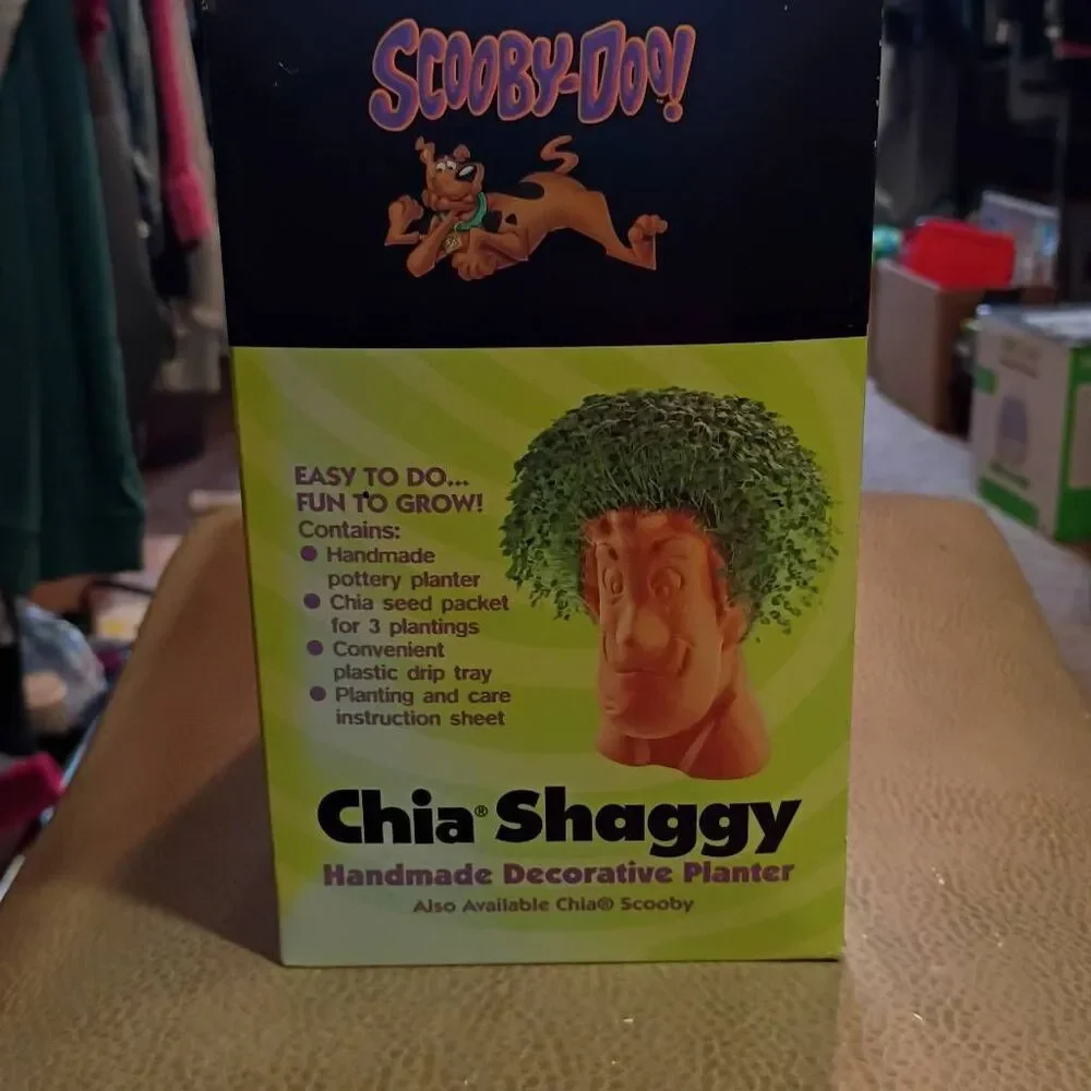 NWT Cartoon Network Scooby Doo Chia Shaggy